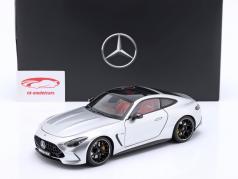 Mercedes-Benz AMG GT 63 4Matic  hightechsilber 1:18 ニュージーランド